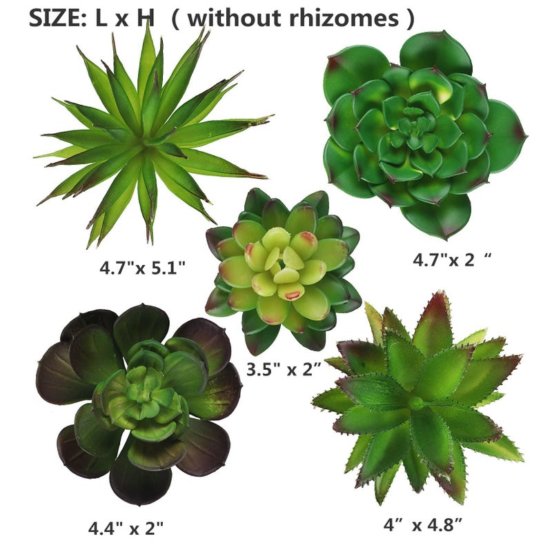 Hecaty 5 Pcs Faux Succulents Set, Realistic Fake Succulents, Artificial Hanging Ornaments Fleshed Plant Textured for Home Garden Wedding Party Spring Decoration (Green) - Image 2